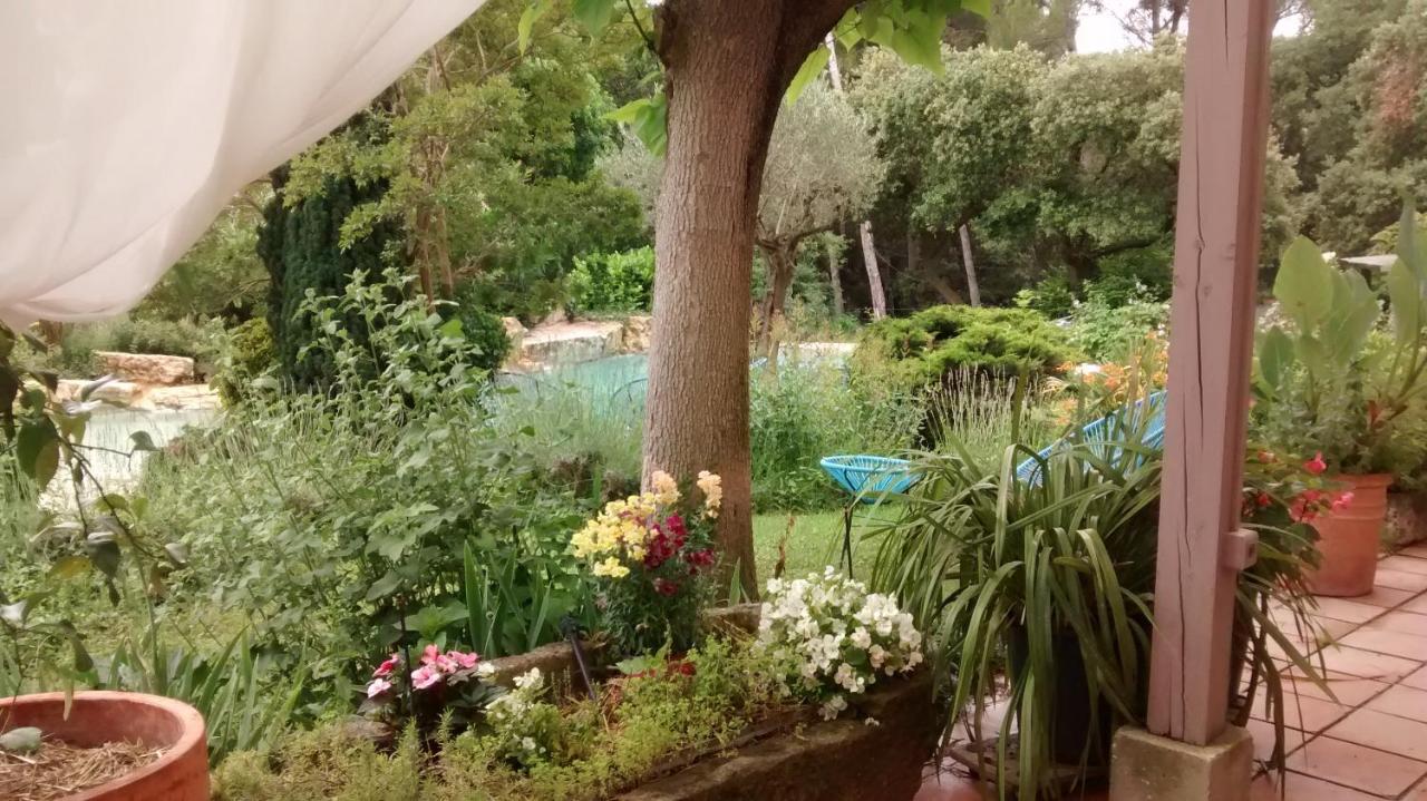 Bed and Breakfast La Bousquatière à Piolenc Extérieur photo